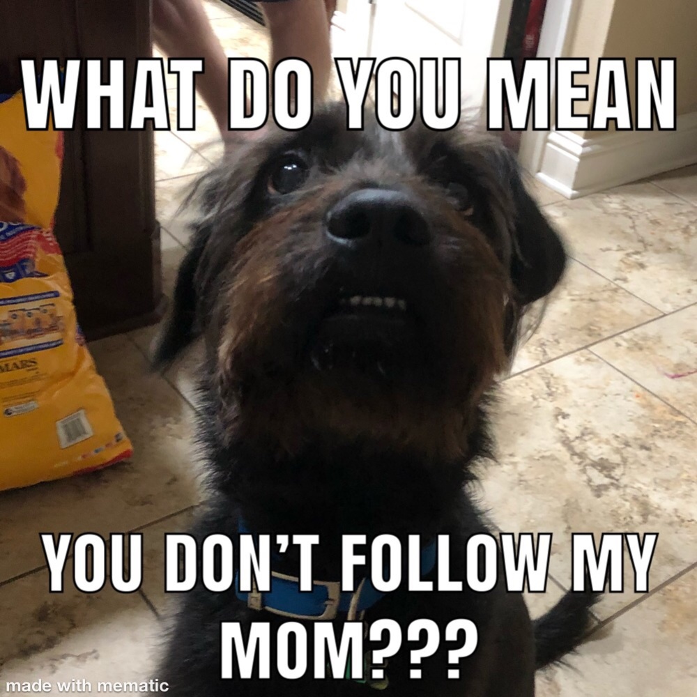 👑Thank You for Visiting My Closet!👑